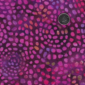Dragonfly Dreams by Deborah Edwards for Northcott - Multi Pink Circular Texture