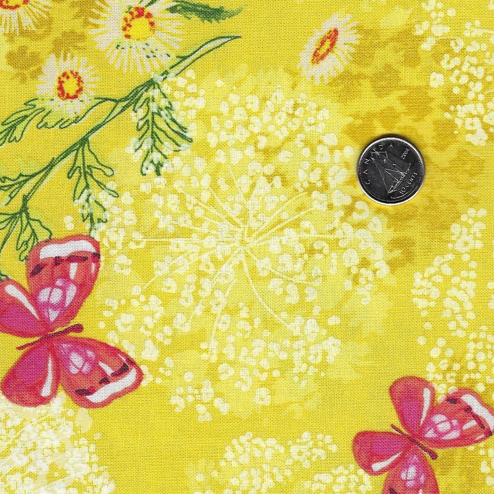 Wild Blossoms par Robin Pickens pour Moda - Background Maize Queen Anne's Lace