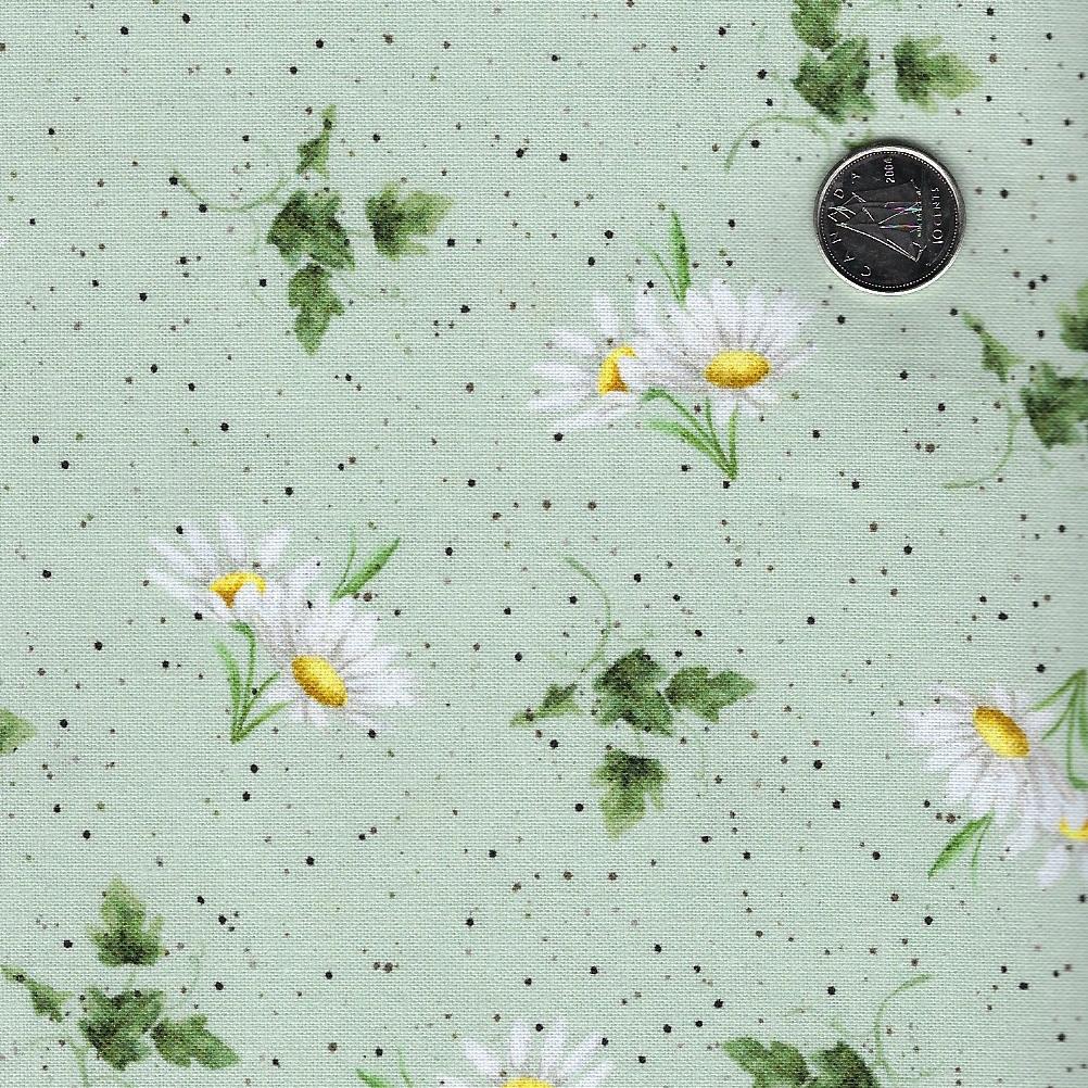 Bramble Patch by Hannah Dale for Maywood Studio - Background Green Daisy Toss