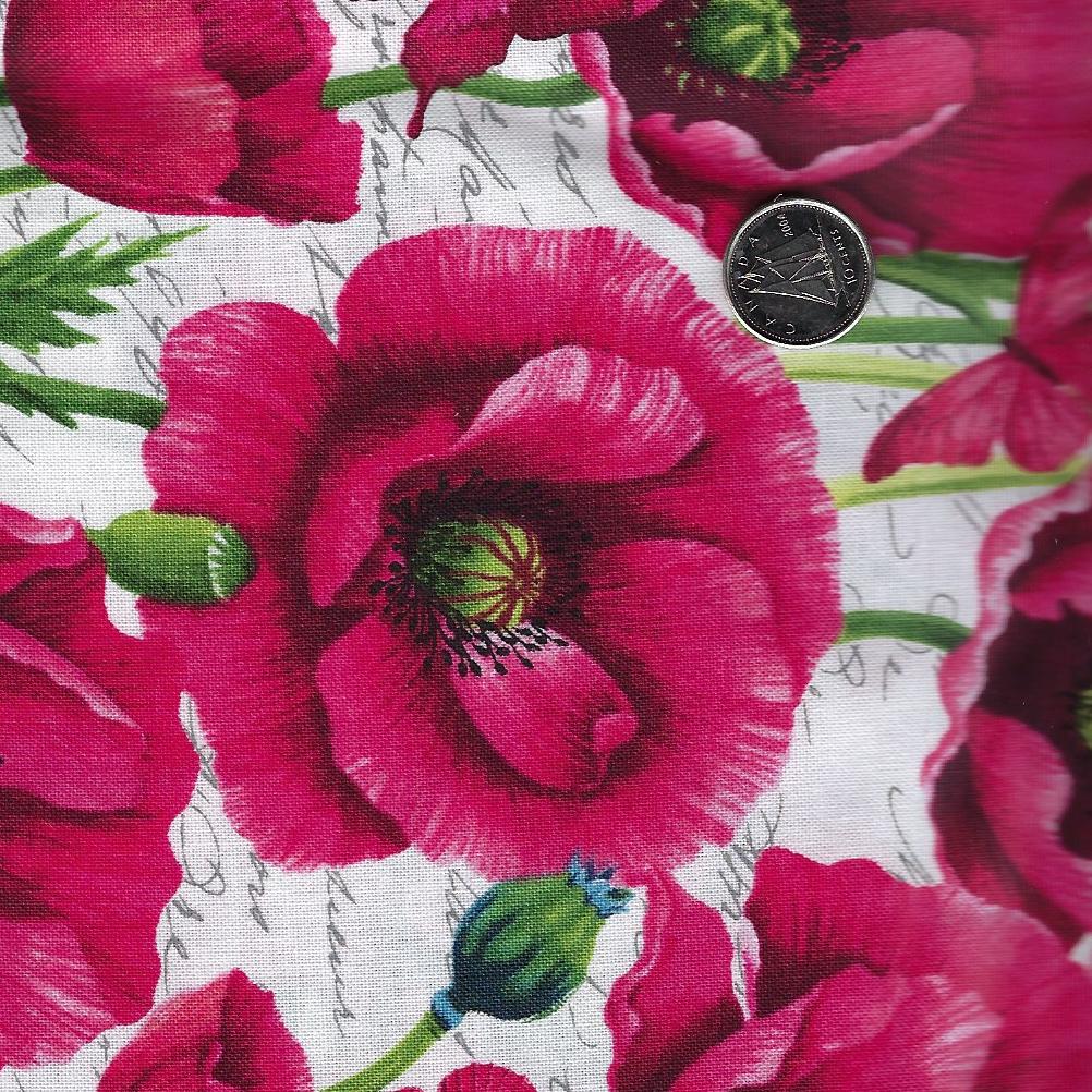 Ooh La La! by Michel Design Works for Northcott - Background White Poppy All Over