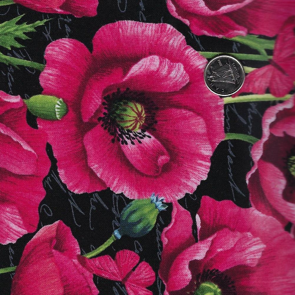 Ooh La La! by Michel Design Works for Northcott - Background Black Poppy All Over