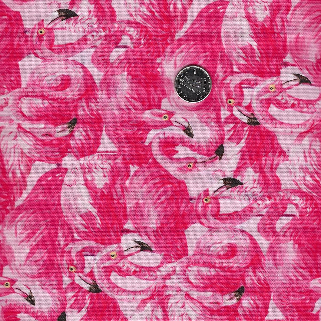 Flamingo Bay par Michel Design Works pour Northcott - Pink Flamingos Packed