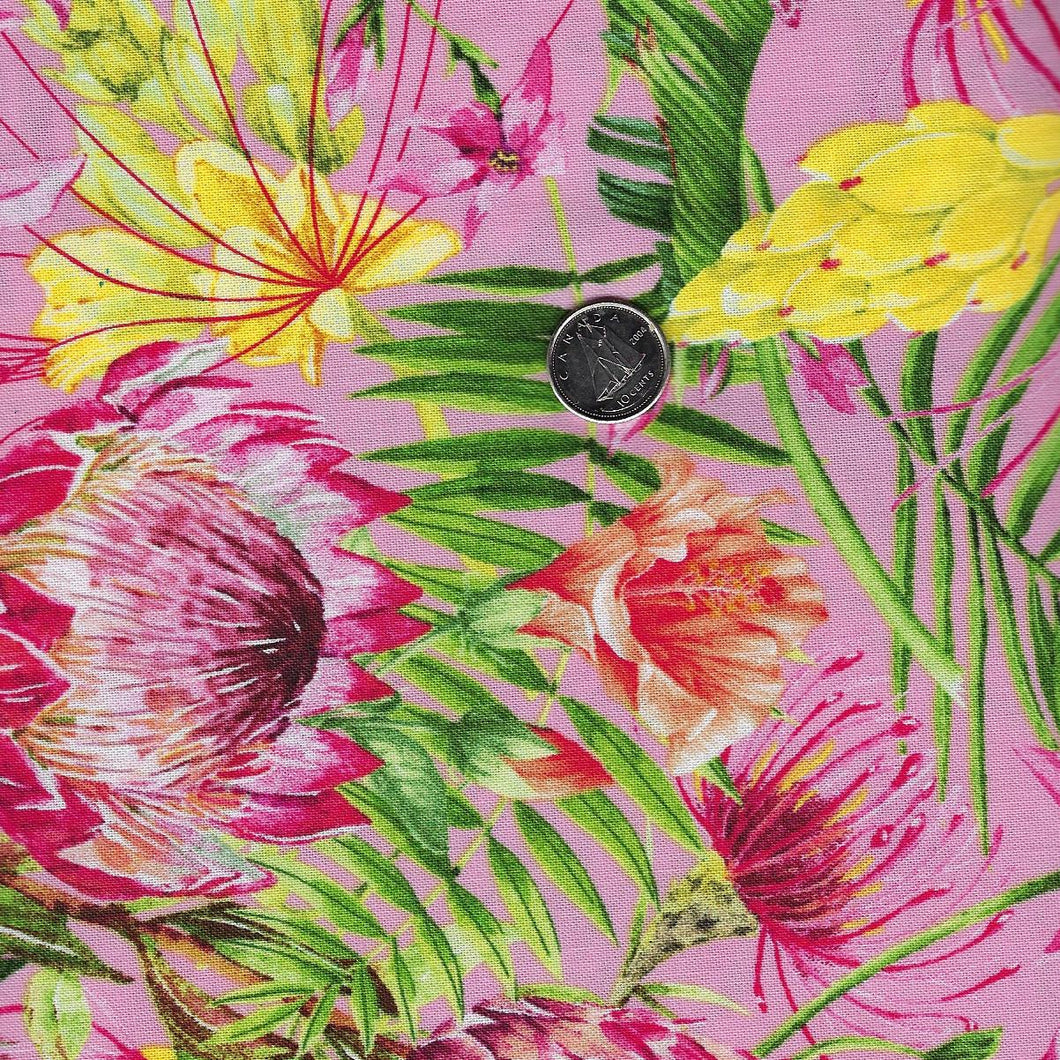 Flamingo Bay by Michel Design Works for Northcott - Background Pink Floral