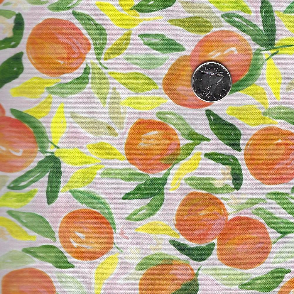 Orangerie by Caitlin Wallace-Rowland for Dear Stella Design - Background Pink Oranges