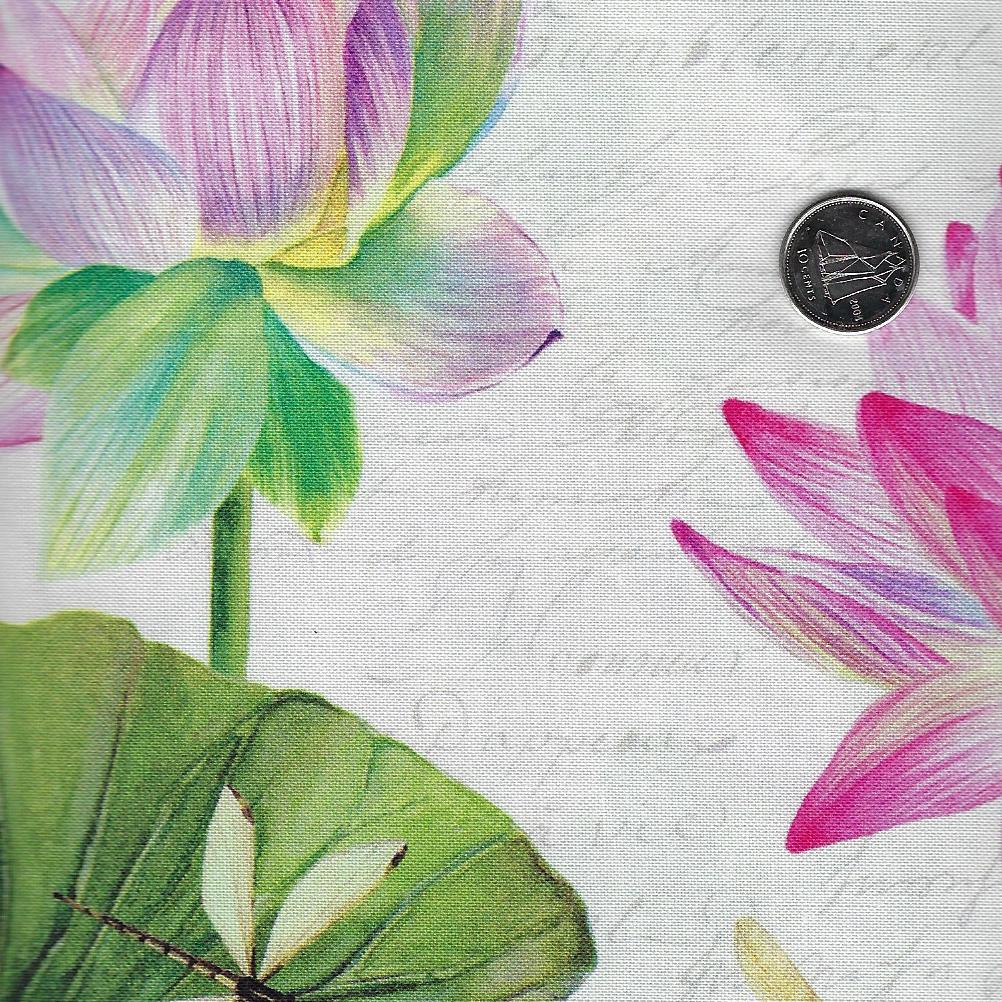 Water Lilies par Michel Design Works pour Northcott - Background Cream Panel