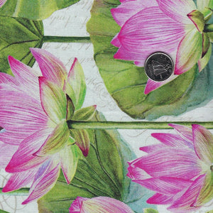 Water Lilies by Michel Design Works for Northcott - Background Cream Feature Floral