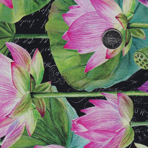 Water Lilies by Michel Design Works for Northcott - Background Black Feature Floral