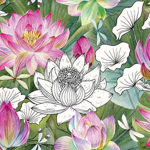 Water Lilies by Michel Design Works for Northcott - Floral with Toile Black