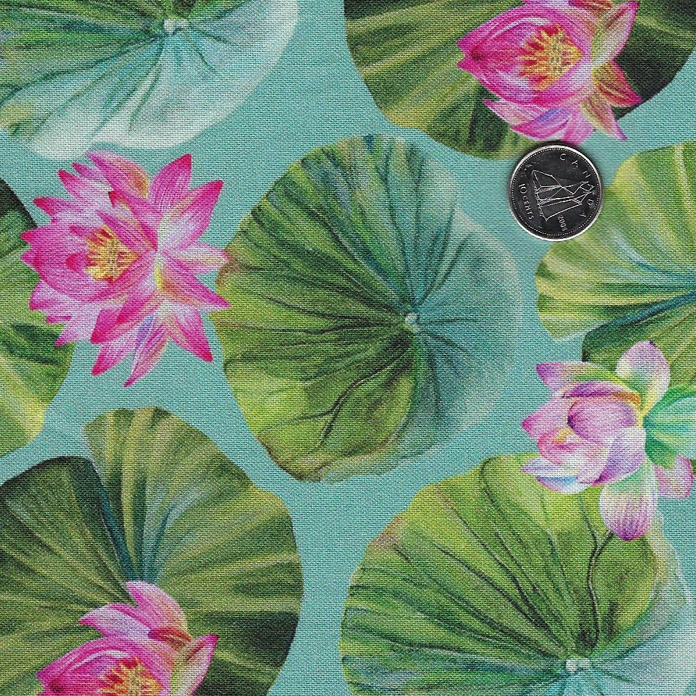 Water Lilies by Michel Design Works for Northcott - Background Seafoam Lily Pads