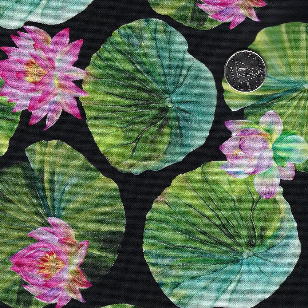 Water Lilies by Michel Design Works for Northcott - Background Black Lily Pads