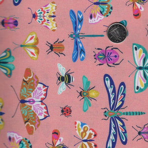Flutter By by Bethan Janine for Dashwood Studio - Flying Insects Background Coral